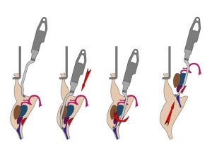 main maestro_process-1100x814